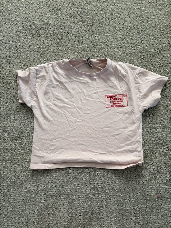 Zara Other - Zara Light Pink Short Sleeve Tee with Red Chest Print